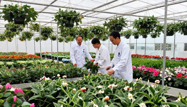 花卉种苗仓储保鲜优化建议的选择依据与适用条件